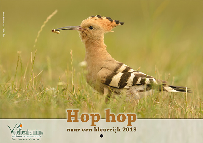 kalender