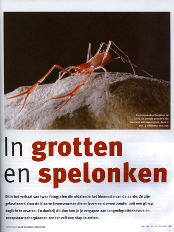 pseudoschorpioen