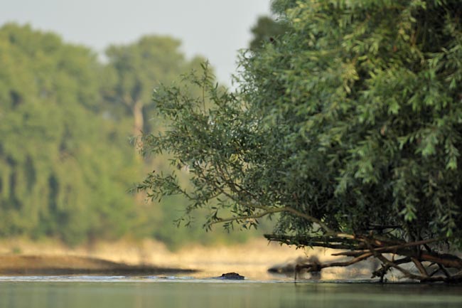 Bever op de Loire
