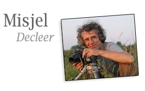 Misjel Decleer