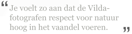 respect