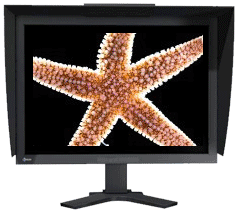 screensaver