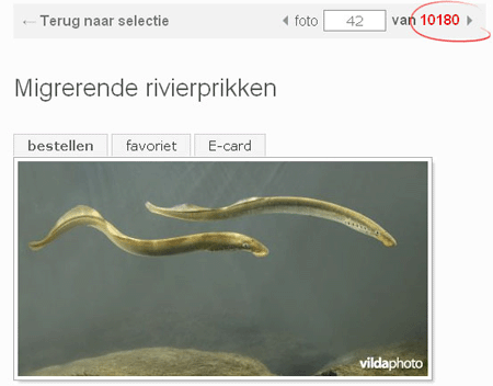 Tienduizend