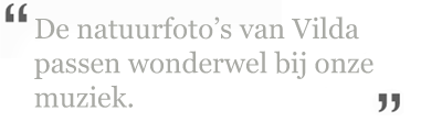 wonderwel