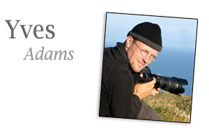Yves Adams